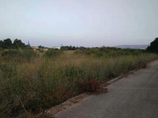 Terreno en El Verger