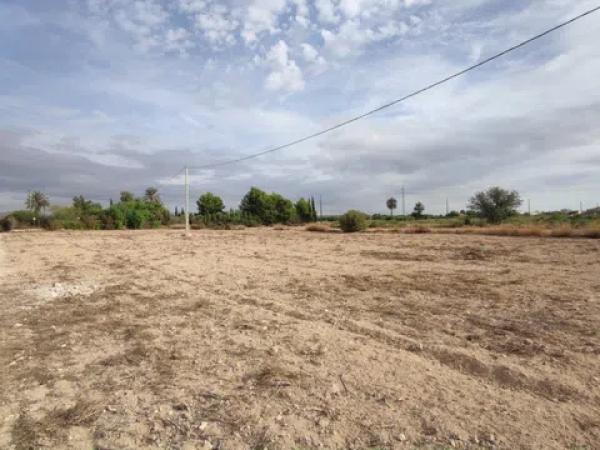 Terreno en Maitino-Perleta