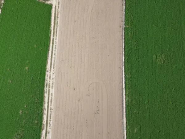 Terreno en calle Cervantes