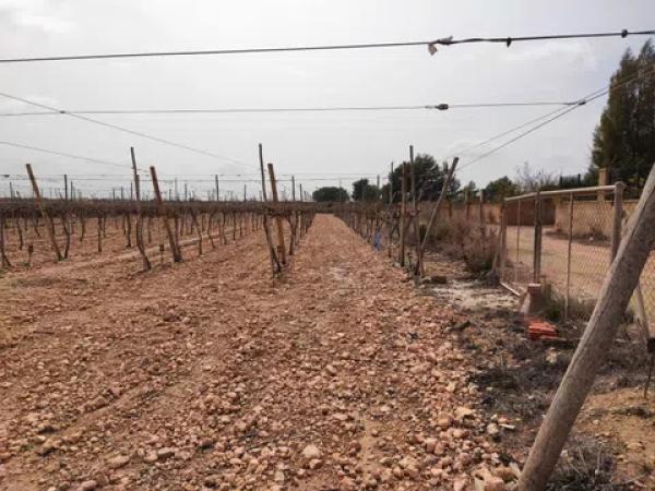 Terreno en calle Gil Martínez s/n