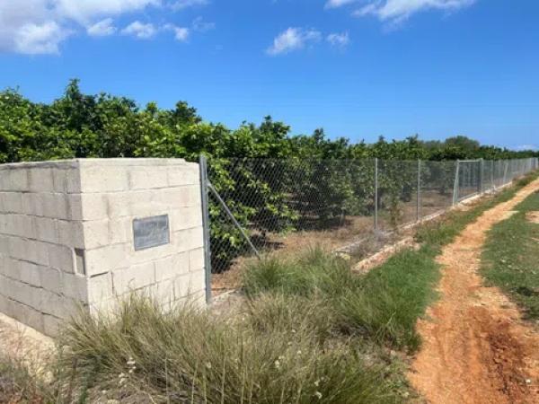 Terreno en Pedreguer