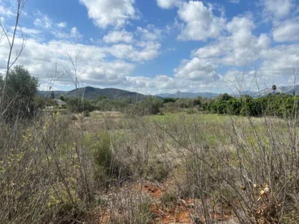 Terreno en Pedreguer