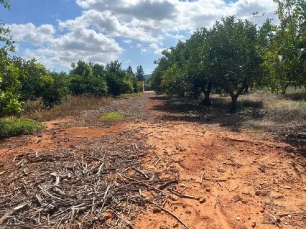 Terreno en Pedreguer