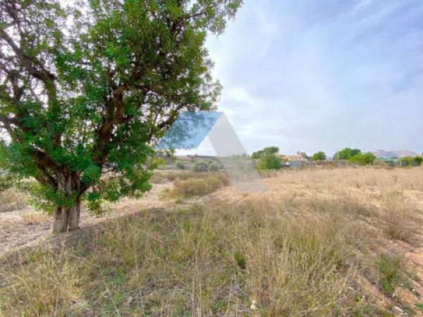 Terreno en camino Mar Mediterraneo