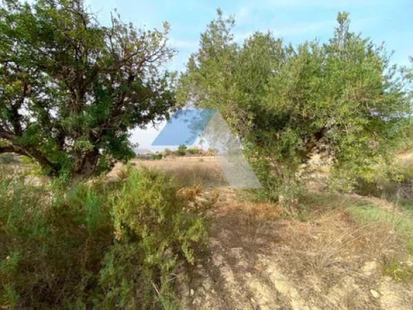 Terreno en camino Mar Mediterraneo