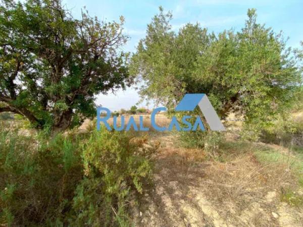 Terreno en camino Mar Mediterraneo