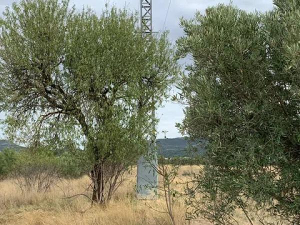 Terreno en polígono 11 s/n