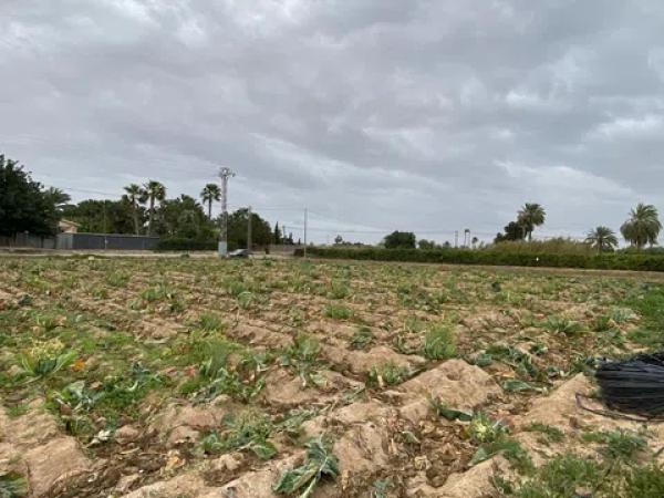 Terreno en carretera Matola s/n