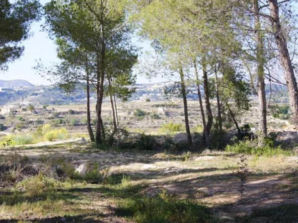 Terreno en Casco Urbano