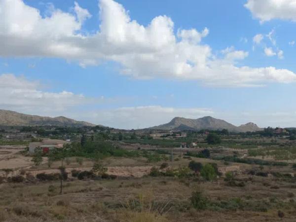 Terreno en camino de la Pedrera s/n