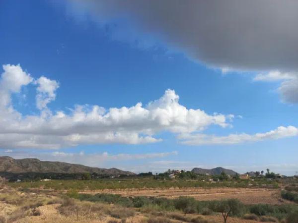 Terreno en camino de la Pedrera s/n