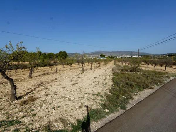 Terreno en Partida Sargarets, 47