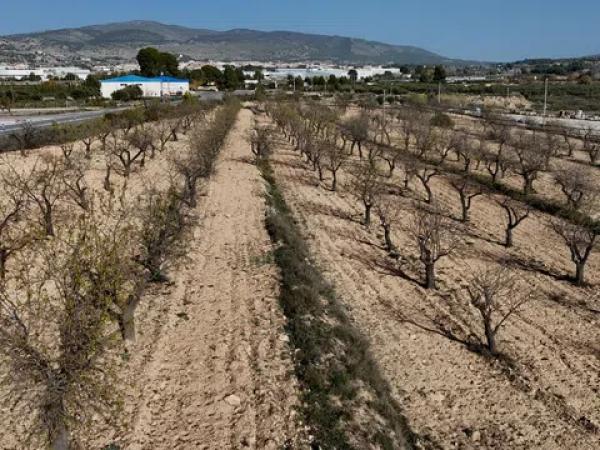 Terreno en Partida Sargarets, 47