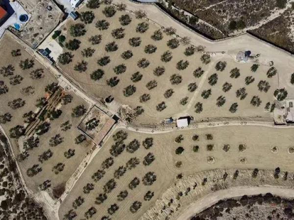 Terreno en polígono la ballestera, 226