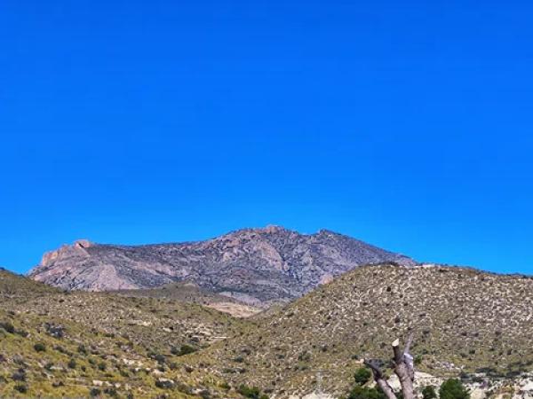Terreno en polígono la ballestera, 226