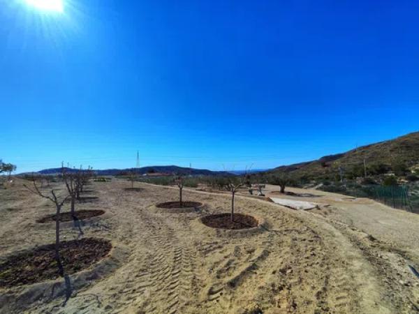 Terreno en polígono la ballestera, 226