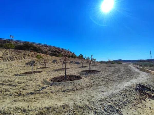 Terreno en polígono la ballestera, 226
