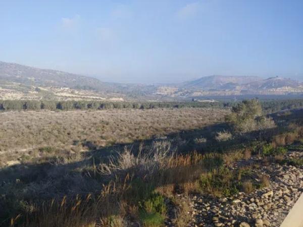 Terreno en carretera Hurcillo Torr.