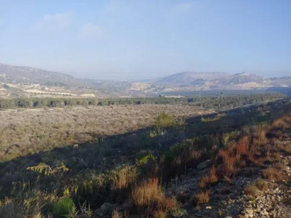 Terreno en carretera Hurcillo Torr.