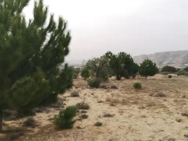 Terreno en Peña Rubia s/n