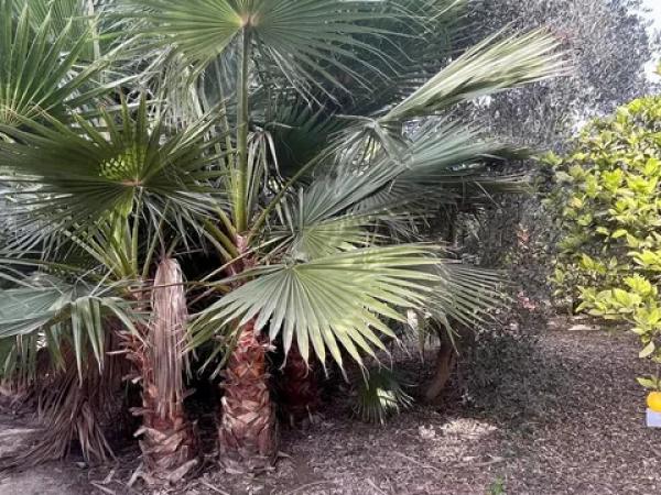 Terreno en La Hoya-Daimes-El Derramador