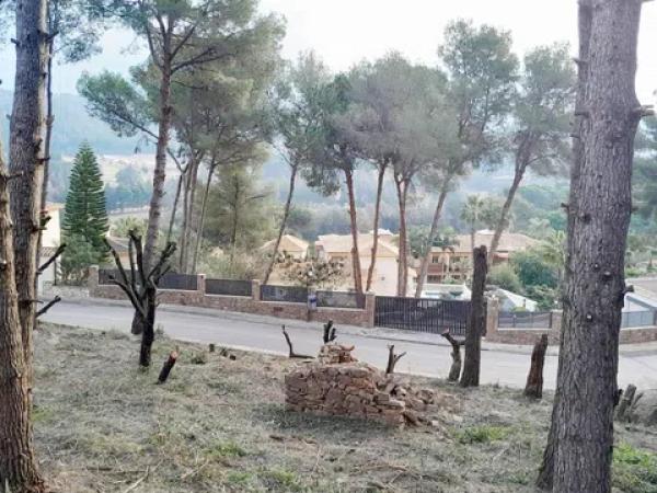 Terreno en Pedreguer