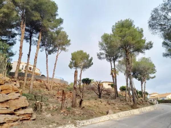 Terreno en Pedreguer