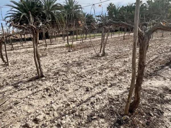 Terreno en La Hoya-Daimes-El Derramador