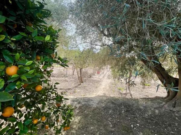 Terreno en La Hoya-Daimes-El Derramador