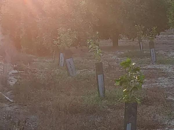 Terreno en vereda la Doctora s/n