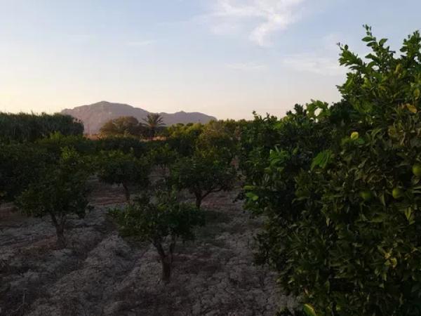 Terreno en vereda la Doctora s/n