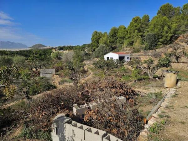 Terreno en Callosa d'En Sarria
