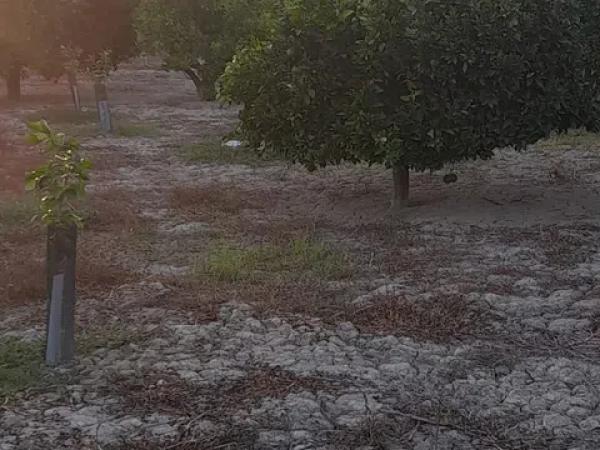 Terreno en vereda la Doctora s/n