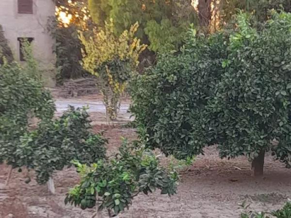 Terreno en vereda la Doctora s/n