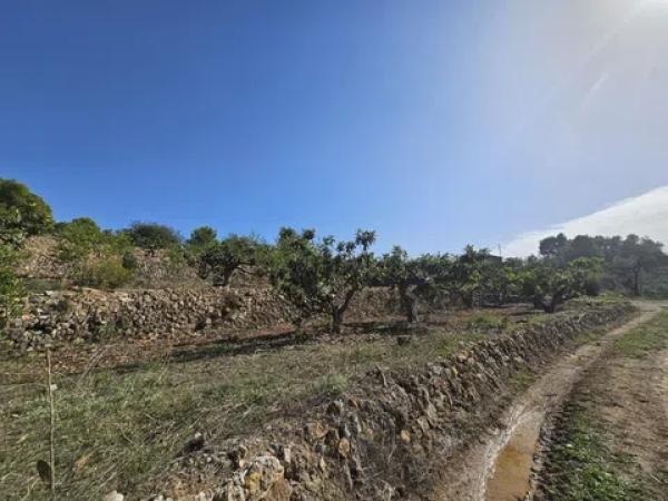 Terreno en Callosa d'En Sarria
