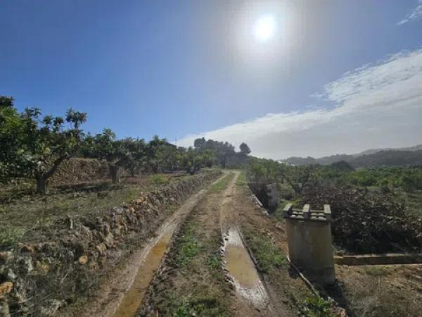 Terreno en Callosa d'En Sarria
