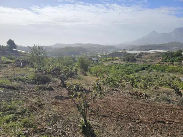 Terreno en Callosa d'En Sarria