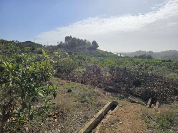 Terreno en Callosa d'En Sarria