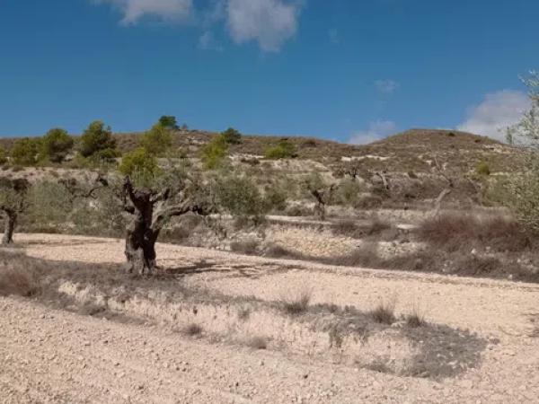 Terreno en Hondón de las Nieves