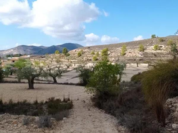 Terreno en Hondón de las Nieves