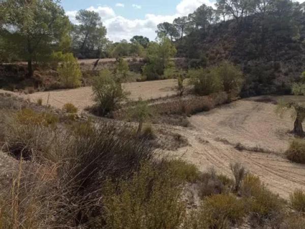 Terreno en Hondón de las Nieves