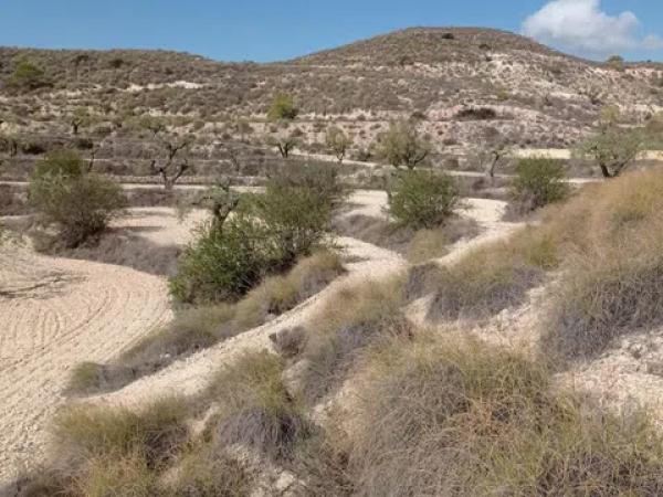 Terreno en Hondón de las Nieves