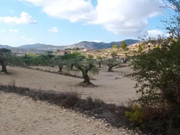 Terreno en Hondón de las Nieves