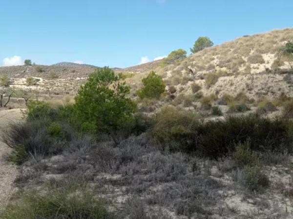 Terreno en Hondón de las Nieves