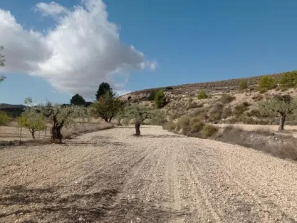 Terreno en Hondón de las Nieves
