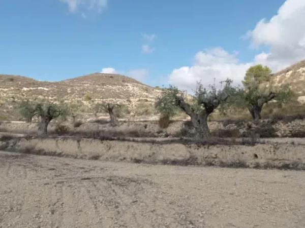 Terreno en Hondón de las Nieves
