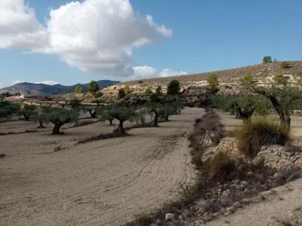 Terreno en Hondón de las Nieves