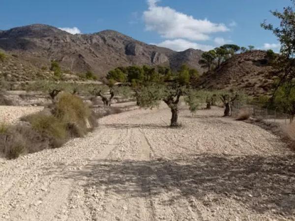 Terreno en Hondón de las Nieves