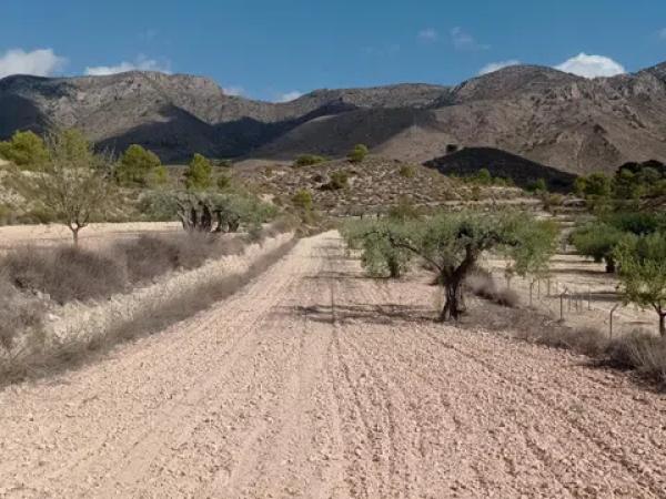 Terreno en Hondón de las Nieves