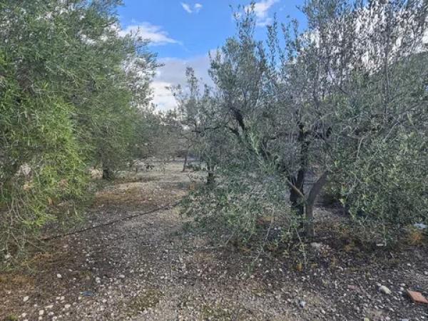 Terreno en via Sense Nom